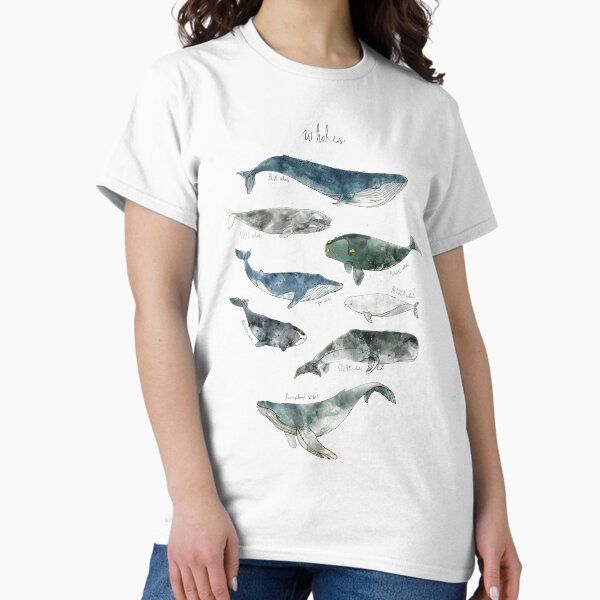 Whales